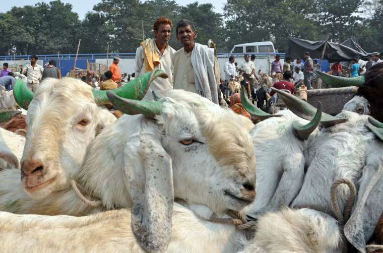 इस्लामिक सेंटर ने बकरीद के लिए जारी की एडवाइजरी